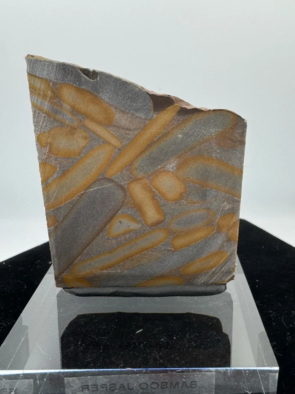 Bamboo Jasper Specimen polished (Indonesia)